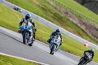 Oulton-Park-14th-March-2020;PJ-Motorsport-Photography-2020;anglesey;brands-hatch;cadwell-park;croft;donington-park;enduro-digital-images;event-digital-images;eventdigitalimages;mallory;no-limits;oulton-park;peter-wileman-photography;racing-digital-images;silverstone;snetterton;trackday-digital-images;trackday-photos;vmcc-banbury-run;welsh-2-day-enduro